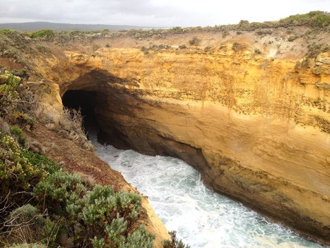 Private Tour: Great Ocean Road From Melbourne - Attractions Melbourne 3