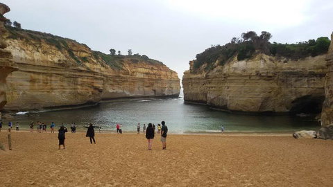 Great Ocean Road Small-Group Ecotour From Melbourne - Attractions Melbourne 20