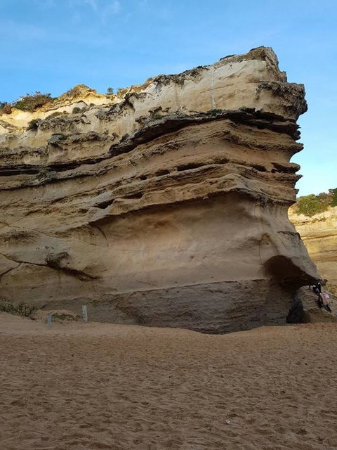 Great Ocean Road Small-Group Ecotour From Melbourne - Attractions Melbourne 10