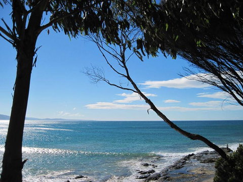 Great Ocean Road Small-Group Ecotour From Melbourne - Attractions Melbourne 4