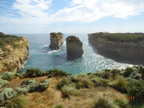 Great Ocean Road Small-Group Ecotour From Melbourne - Attractions Melbourne 25