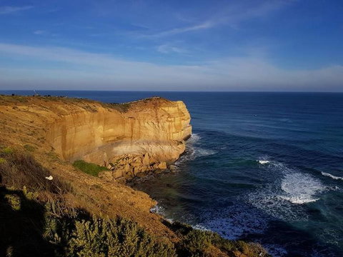 Great Ocean Road Small-Group Ecotour From Melbourne - Attractions Melbourne 9