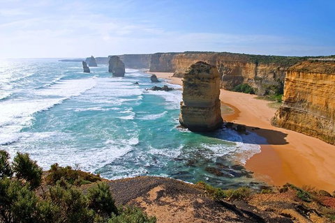 Great Ocean Road Small-Group Ecotour From Melbourne - Attractions Melbourne 0
