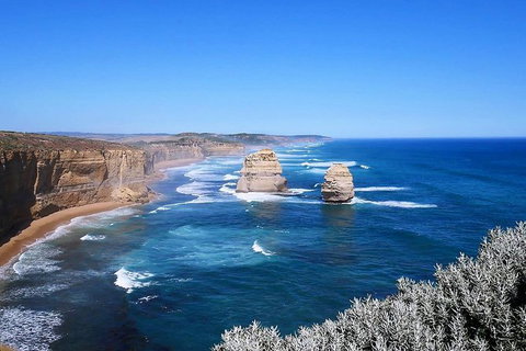 Great Ocean Road Small-Group Ecotour From Melbourne - Attractions Melbourne 31