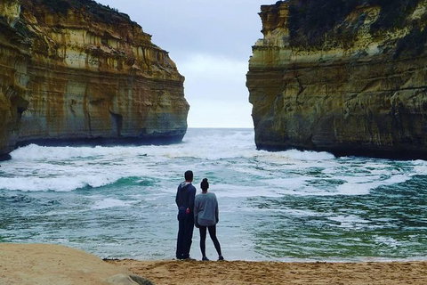 Great Ocean Road Small-Group Ecotour From Melbourne - Attractions Melbourne 29