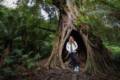 Great Ocean Road Small-Group Ecotour From Melbourne - Attractions Melbourne 32