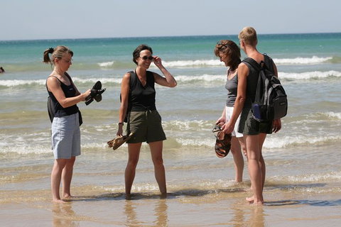 Great Ocean Road Small-Group Ecotour From Melbourne - Attractions Melbourne 34