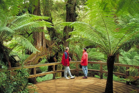 Great Ocean Road Small-Group Ecotour From Melbourne - Attractions Melbourne 28
