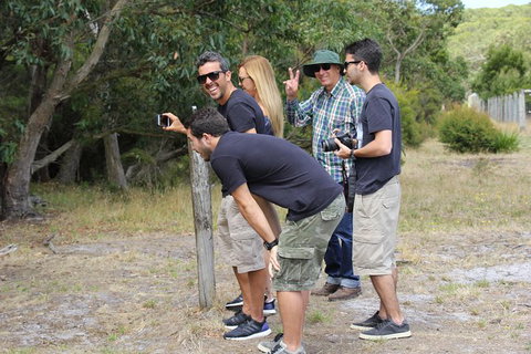 Small-Group Great Ocean Road Day Trip From Melbourne - Attractions Melbourne 10