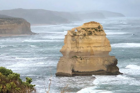 Great Ocean Road Private Tour - Attractions Melbourne 4