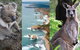 2 Day Great Ocean Road Tour From Melbourne - thumb 15