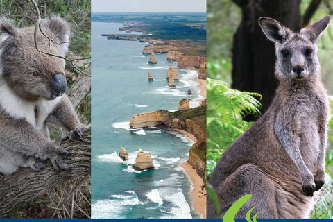2 Day Great Ocean Road Tour From Melbourne - Attractions Melbourne 15