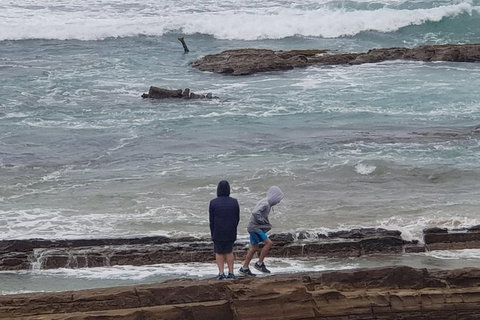 2 Day Great Ocean Road Tour From Melbourne - Attractions Melbourne 4