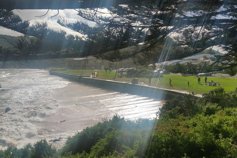 2 Day Great Ocean Road Tour From Melbourne - Attractions Melbourne 20