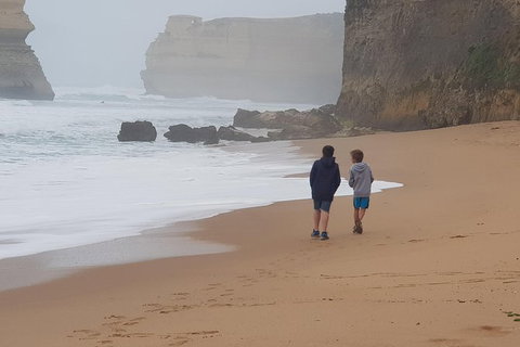 2 Day Great Ocean Road Tour From Melbourne - Attractions Melbourne 23