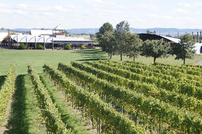 Puffing Billy Train and Yarra Valley Food and Wine Day Trip from Melbourne Melbourne