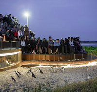 Small-Group Phillip Island Day Trip from Melbourne with Penguin Plus Viewing - Attractions Melbourne