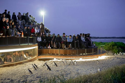 Small-Group Phillip Island Day Trip From Melbourne With Penguin Plus Viewing - Attractions Melbourne 0