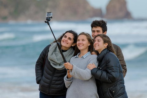 Small-Group Phillip Island Day Trip From Melbourne With Penguin Plus Viewing - Attractions Melbourne 7