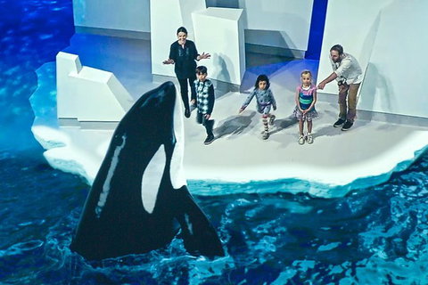 Small-Group Phillip Island Day Trip From Melbourne With Penguin Plus Viewing - Attractions Melbourne 10