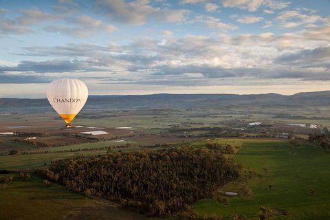 Yarra Valley Balloon Flight And Winery Tour - Attractions Melbourne 12