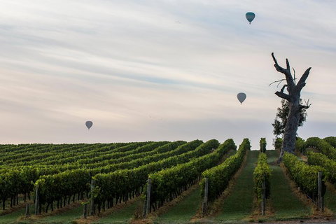Yarra Valley Balloon Flight And Winery Tour - Attractions Melbourne 19