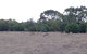 Koalas And Kangaroo In The Wild Tour From Melbourne - thumb 11