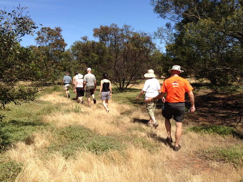 Koalas And Kangaroo In The Wild Tour From Melbourne - Attractions Melbourne 19