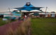 Express Expedition To Phillip Island Penguin Wildlife Encounter Evening Tour - thumb 1