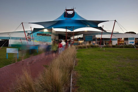 Express Expedition To Phillip Island Penguin Wildlife Encounter Evening Tour - Attractions Melbourne 1