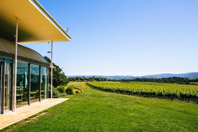 Yarra Valley Winery Tour from Melbourne with Gourmet Vineyard Lunch Melbourne