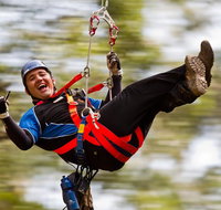 12 Apostles and Otway Fly Zipline Day Trip from Melbourne - Attractions Melbourne