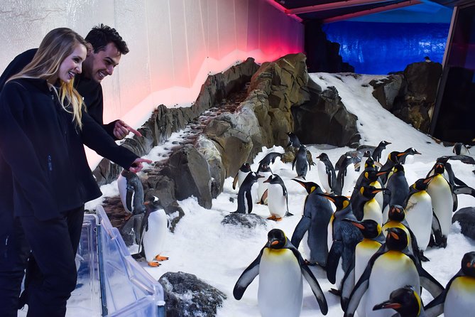 Attractions Melbourne