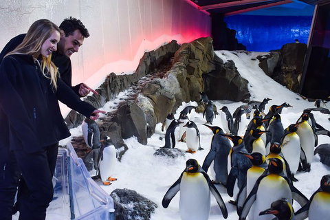 Penguin Passport At SEA LIFE Melbourne Aquarium - Attractions Melbourne 0