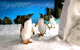 Penguin Passport At SEA LIFE Melbourne Aquarium - thumb 5