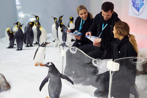 Penguin Passport At SEA LIFE Melbourne Aquarium - Attractions Melbourne 7