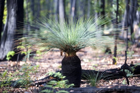 Small-Group Grampians Great Wilderness Escape Day Trip With Hiking - Attractions Melbourne 14