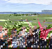 Alternative Yarra Valley Wine Tasting Tour Departing from Melbourne - Attractions Melbourne