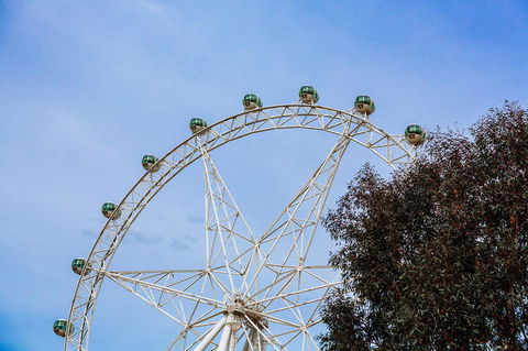 City Sightseeing Melbourne Hop-On Hop-Off Bus Tour - Attractions Melbourne 8