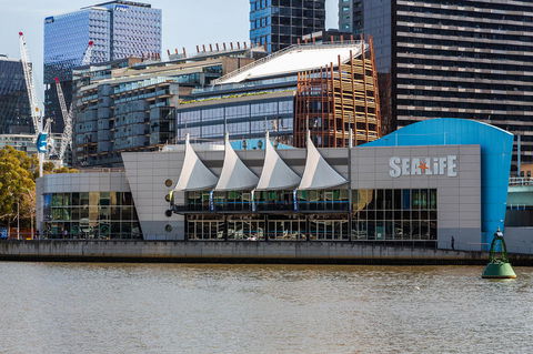City Sightseeing Melbourne Hop-On Hop-Off Bus Tour - Attractions Melbourne 7