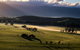 Yarra Valley Balloon Flight At Sunrise - thumb 9