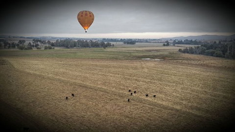Yarra Valley Balloon Flight At Sunrise - Attractions Melbourne 18