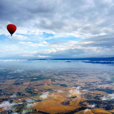 Yarra Valley Balloon Flight At Sunrise - Attractions Melbourne 20