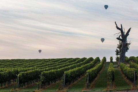 Yarra Valley Balloon Flight At Sunrise - Attractions Melbourne 37