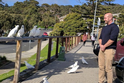 Private Full-Day Great Ocean Road Tour With Helicopter Ride - Attractions Melbourne 1