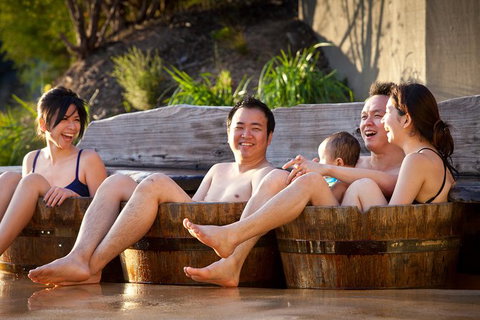 Mornington Peninsula Hot Springs Day Trip From Melbourne - Attractions Melbourne 6