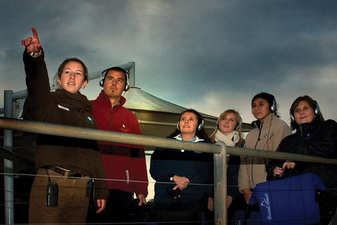 Phillip Island Penguin Parade Express Tour From Melbourne - Attractions Melbourne 4