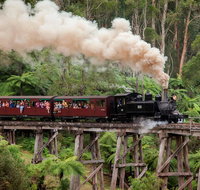 Melbourne Combo Great Ocean Road Puffing Billy Moonlit Sanctuary  Penguins - Attractions Melbourne