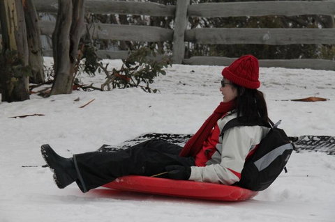 Mt. Buller Ski Tour From Melbourne - Attractions Melbourne 21