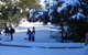 Mt. Buller Ski Tour From Melbourne - thumb 18